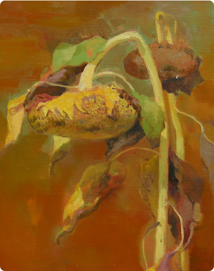 season_image